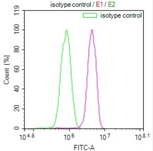 PTX3 Antibody