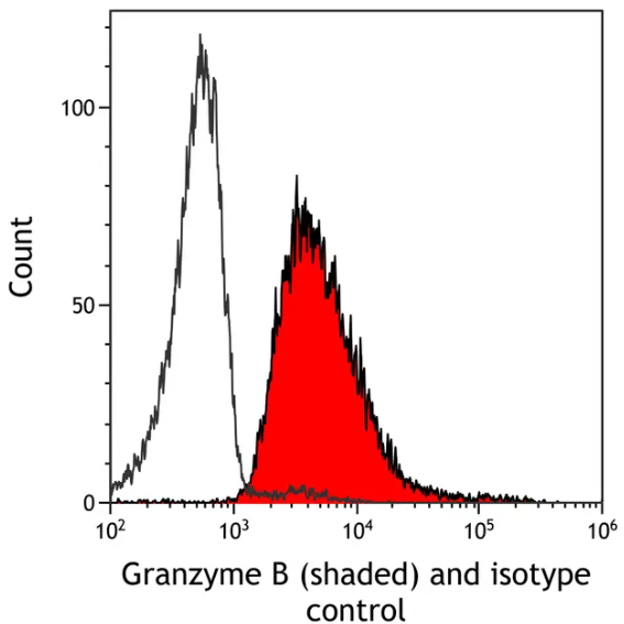 Granzyme B Rabbit Recombinant Monoclonal Antibody