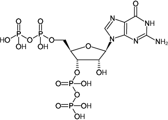 Guanosine-3',5'-bisdiphosphate