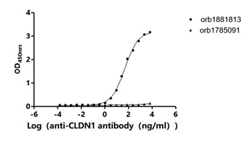 Recombinant Human Claudin-1 (CLDN1)-VLPs (Active)