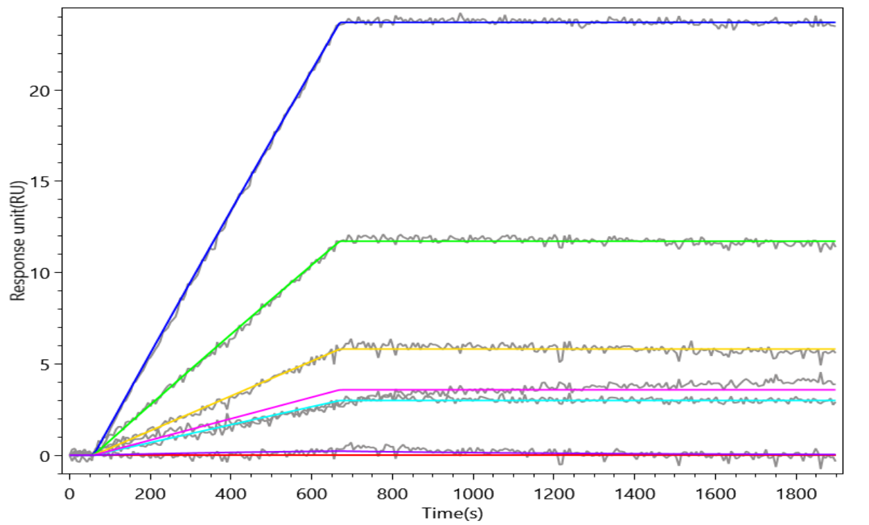 Recombinant Macaca fascicularis Transmembrane 4 L6 family member 1 (TM4SF1)-VLPs (Active)