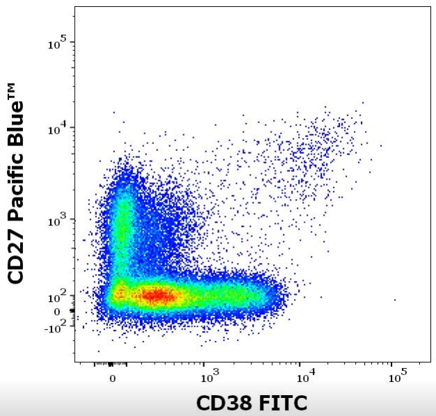 CD38 Antibody (FITC)