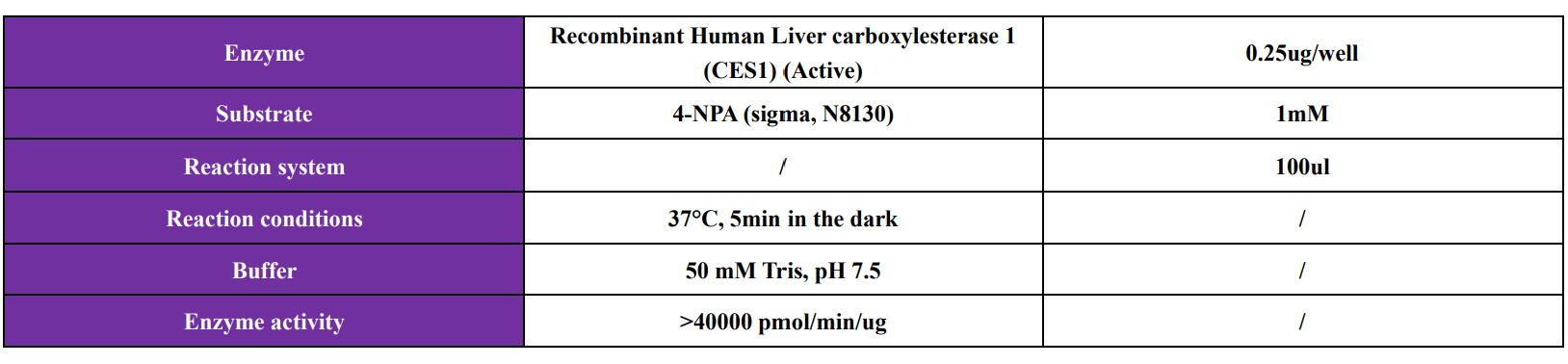 Recombinant Human Liver carboxylesterase 1 (CES1) (Active)
