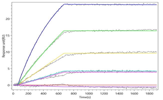Recombinant Human B-lymphocyte antigen CD20 (MS4A1)-Detergent (Active)