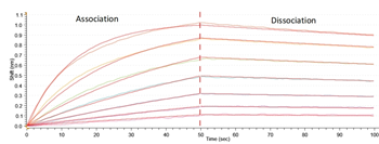 Recombinant Human Low affinity immunoglobulin gamma Fc region receptor III-A (FCGR3A), partial (Active)