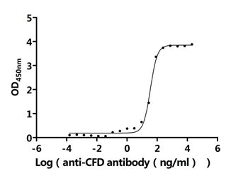 Recombinant Human Complement factor D (CFD) (Active)