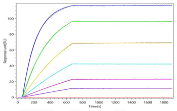 Recombinant Human Complement C5 (Active)