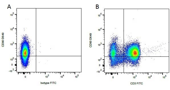 CD90 Antibody