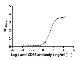 Human CD38 protein