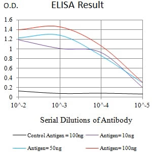 FCGRT Antibody