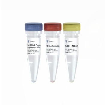Vazyme - Bst II DNA Polymerase Large Fragment