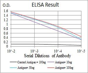 ATG5 Antibody