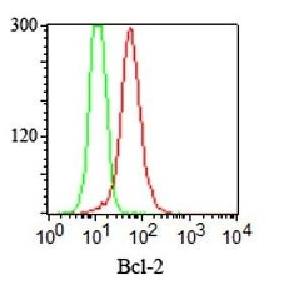 BCL2 Antibody