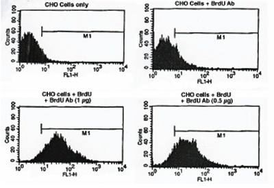 Mouse anti BrdU (bromodeoxyuridine) Antibody (FITC)
