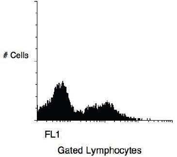 Mouse anti Human CD11b Antibody (Biotin)