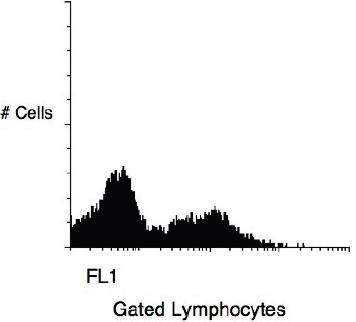 Mouse anti Human CD11b Antibody (FITC)