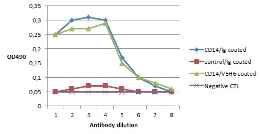 CD14 Antibody
