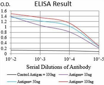 CD36 Antibody