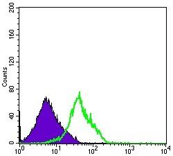 CD94 Antibody