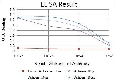 CRTC3 Antibody