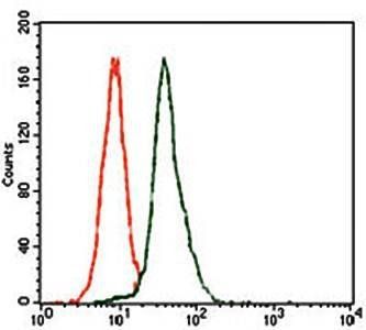 E2F1 Antibody