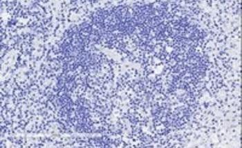 Goat anti-CD28 Antibody