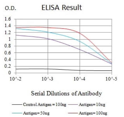 PINK1 Antibody