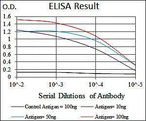 ENO2 Antibody
