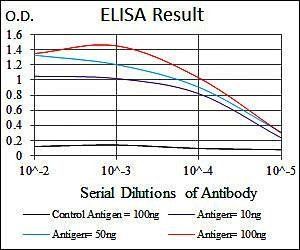 FAS Antibody