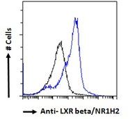 LXR beta/NR1H2 Antibody