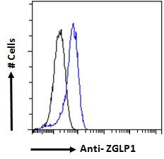 ZGLP1 Antibody