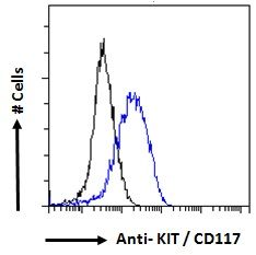 KIT/CD117 Antibody