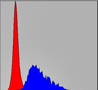 FGG Antibody