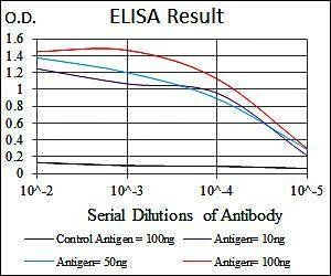 FOS Antibody