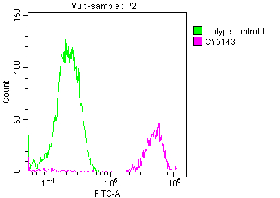 FUBP1 Antibody