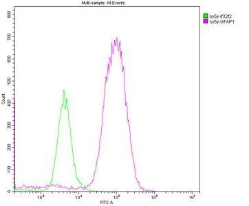 GFAP Antibody