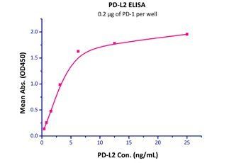 Human PD-L2 Protein, Fc Tag