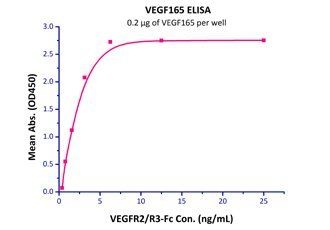Human VEGF165 Protein, His Tag, low endotoxin (MALS verified)