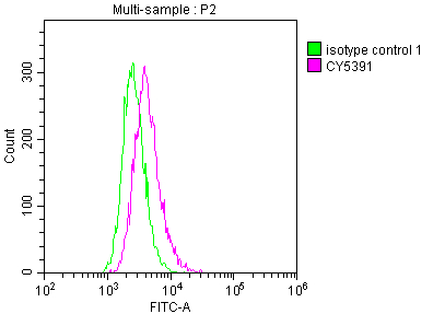 ICAM1 Antibody