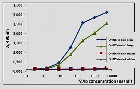 Influenza B Monoclonal Antibody (Capture)