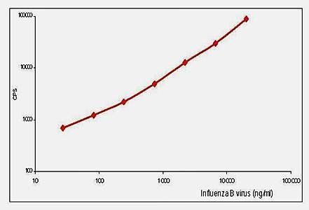 Influenza B Monoclonal Antibody (Detection)