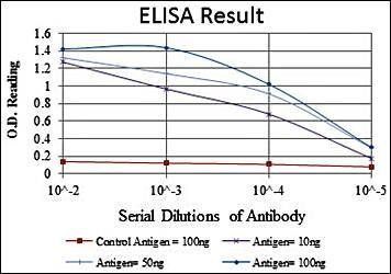 JUP Antibody