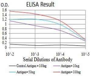 LGALS1 Antibody