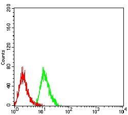 LGALS1 Antibody