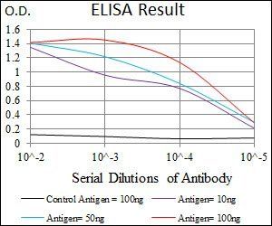MARK3 Antibody
