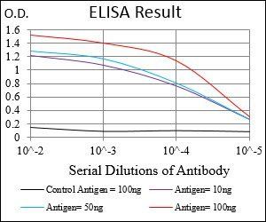 MCAM Antibody