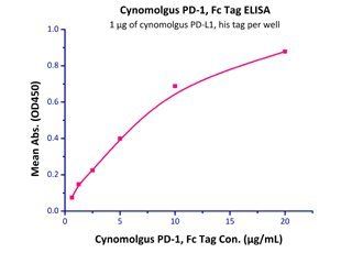 Cynomolgus / Rhesus macaque PD-L1 Protein, His Tag