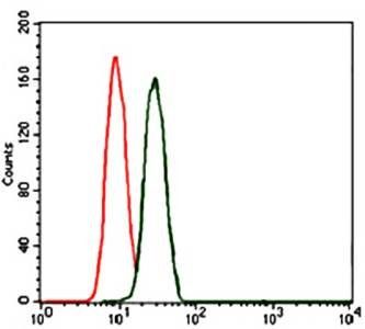 mouse Lplunc1 Antibody