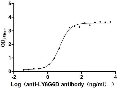 LY6G6D Antibody