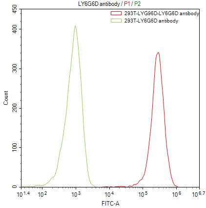 LY6G6D Antibody